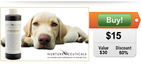 probiotic supplement for dogs on sale