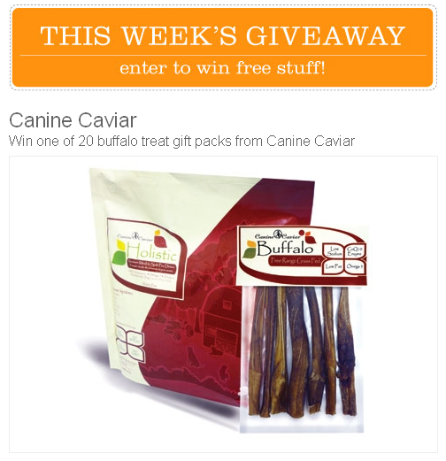 canine caviar giveaway from Modern Dog Magazine