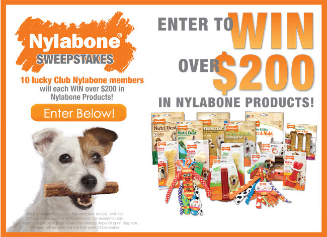 win nylabone products