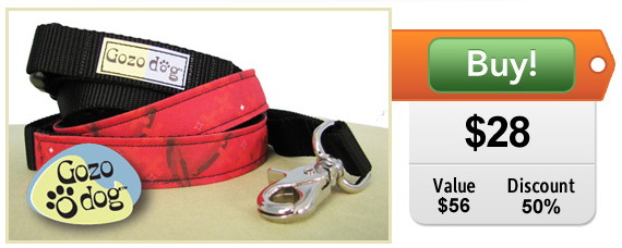 Gozo Dog leash and collar set on sale