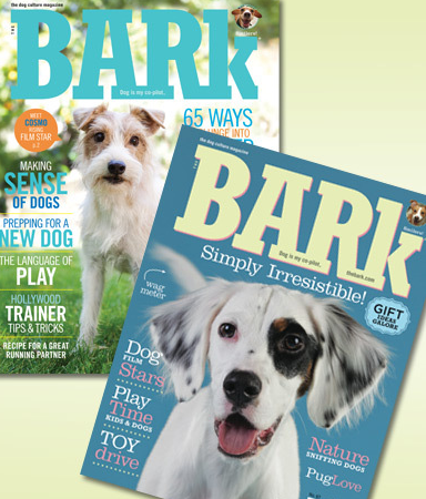 bark magazine on sale