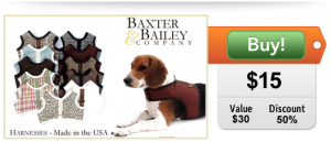 baxter and bailey half off coupon