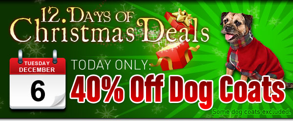 40% off coats for dogs at baxterboo