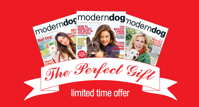 $10 Gift Subscriptions to Modern Dog Magazine