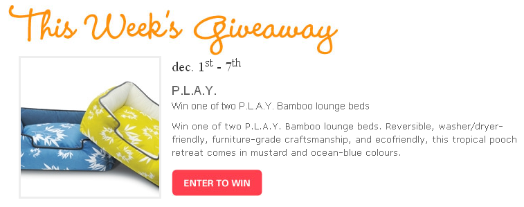Modern Dog Giveaway  Bamboo Lounge Bed