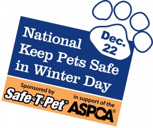 National Keep Pets Safe in Winter Day