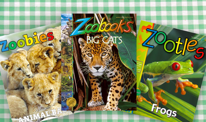 Half Off Zoobooks, Zootles, or Zoobies Magazines