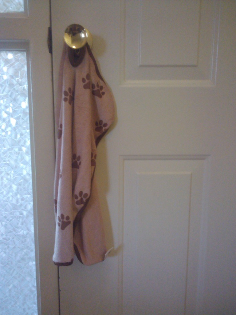 towel on doorknob doesn't drip