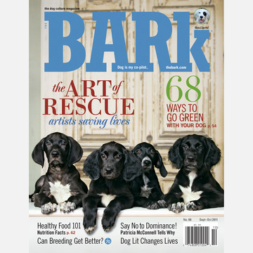 Save up to $10 on The Bark and Dog Fancy Magazine Subscriptions!