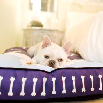 P.L.A.Y. Dog Beds on Sale
