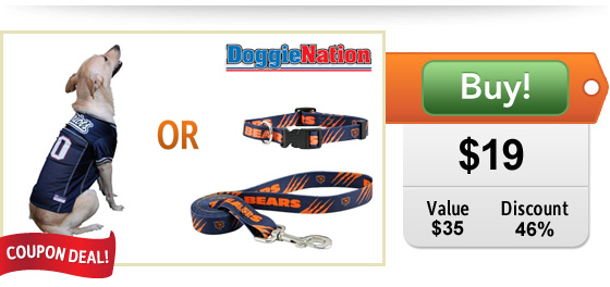 Licensed Pro Sports Team apparel and gear for dogs