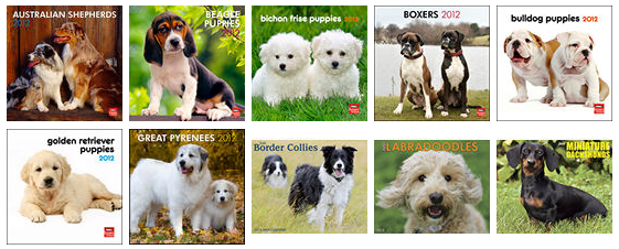 Half Off 2012 Puppy and Dog Calendars