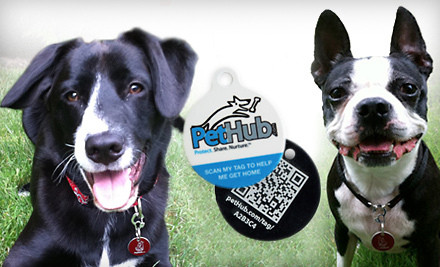 GPS Pet Tags on sale at Groupon