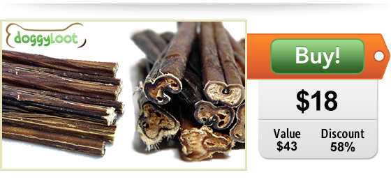 bully stick deal for dogs at DoggyLoot