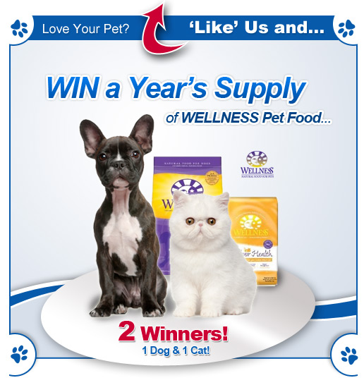 Win a year's supply of Wellness Pet Food from PetFoodDirect