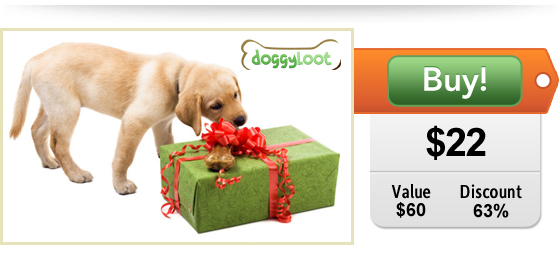 $22 Mystery  box from DoggyLoot!