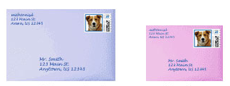 custom pet photo stamps on envelopes