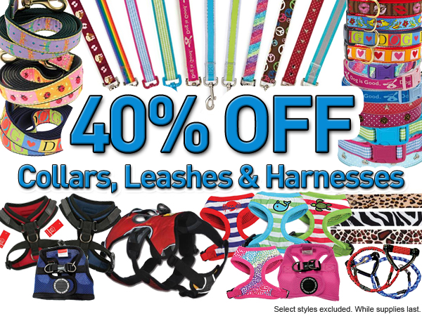 dog leashes, collars and harnesses on sale