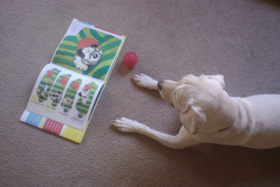 daisy reading red ball book