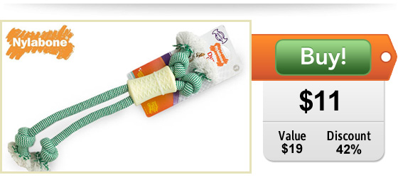 nylabone chew rope toy for dogs