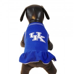 Kentucky Wildcats Cheerleader Dress for Dogs