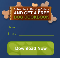 Free Dog Recipe Cookbook