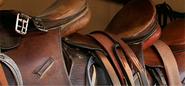 Free Guide to leather care for horse owners and riders