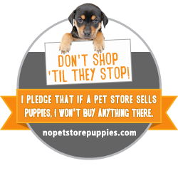 Take the Pledge: Support ASPCA No Pet Store Puppies Campaign!