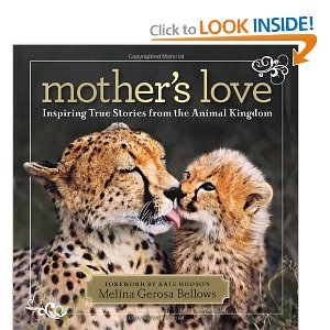 Mother's Love True Stories from the Animal Kingdom