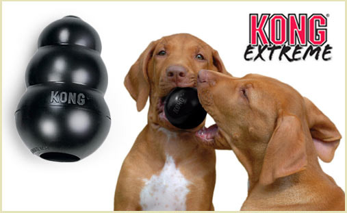 KONG Extreme Dog Toy deal on doggyloot