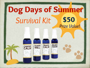 Dog Days Summer Survival Kit