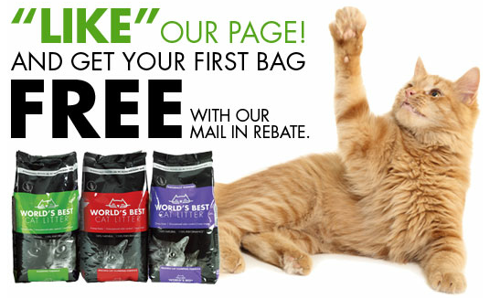 Free Bag of Cat Litter