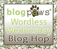 Wordless Wednesday Pet Blog Hop