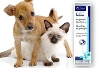 CET Toothpaste for Dogs and Cats