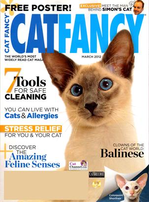 Cat Fancy Magazine Discount