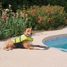 Outward Hound Pet Lifesaver Jacket