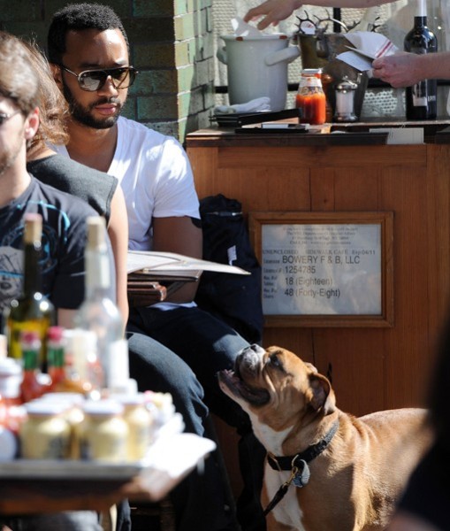 John Legend with his dog