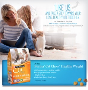 Free Cat Food Sample and Coupon