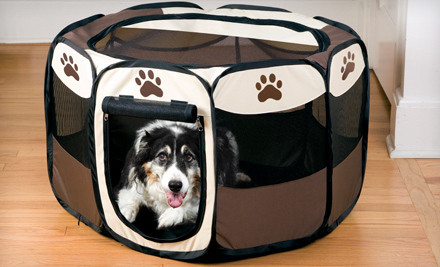cute dog in adorable pet play pen, brown and tan with paw print design