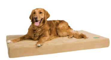 Memory Foam Dog Bed on Sale