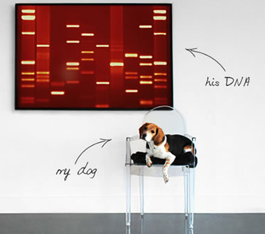 Pet DNA Wall Art