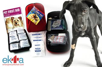pet first aid kit, black dog with bandage, emergency guide for pets
