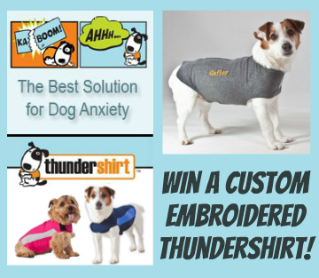 Win a Custom Embroidered Thundershirt!