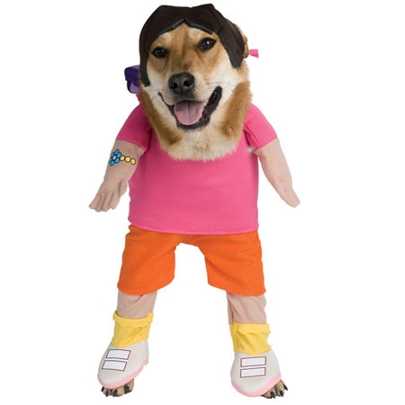 Cute Dog in Dora the Explorer Dog Costume