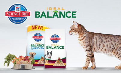 Printable Cat Food Coupon, Hill's Science Diet