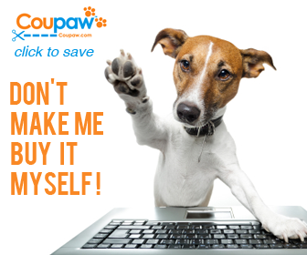 dog using laptop to find great pet deals