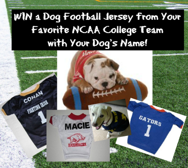 College Football Jersey Giveaway for Dogs