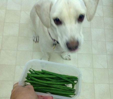 Daisy green beans