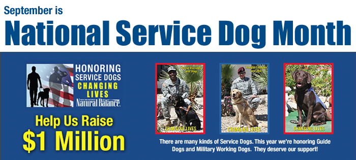 National Service Dog Month with Natural Balance National Service Dog Month with Natural Balance