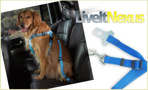 pet safety seat belt for car